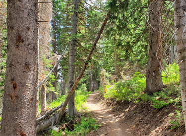 9K Trail in Park City