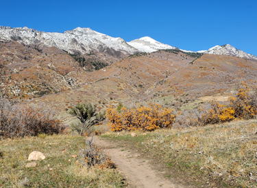 Looking north toward Lone Peak on the Fort Canyon side of the trail, descending ...