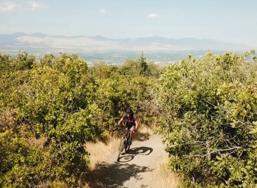 Canyon Hollow / Brocks Point Trail