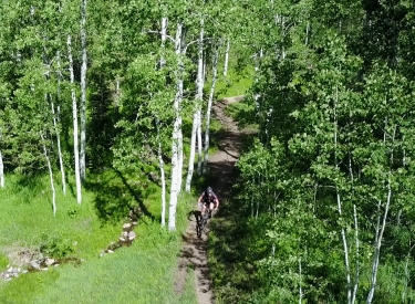 Jones Ranch Trail