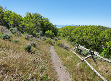 On the bigger version of the loop ride. Weve descended the first half of Peakvie...