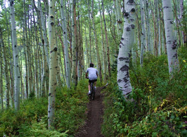 Rider southbound on Midmountain near the Empire Link trail fork.