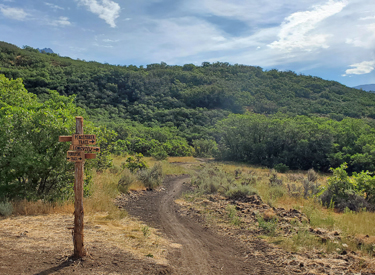 Looking east at Peacemaker from the Porcupine trail.