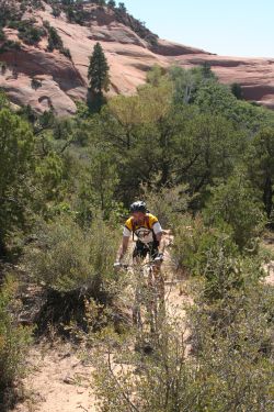 Mike cruises the singletrack through rock and brush.