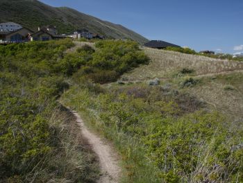 View up the Oak Hollow trail, a popular route to reach the BST and the epic loop...