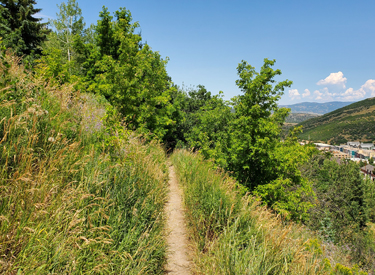 Riding on South Sweeneys, an alternative to the classic ride.