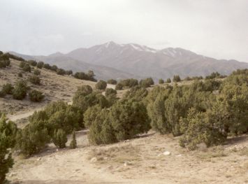 Looking back, weve come about 3 miles. Behind us, the Oquirrh mountains rise in ...