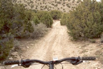 The trail ahead drops into a ravine on a not-too-steep but still raging descent....