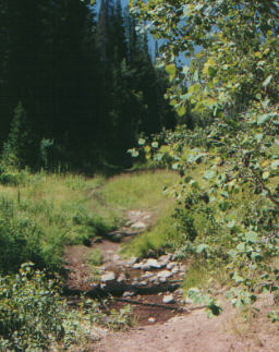 The trail features multiple creek crossings, some with large rocks, tricky roots...