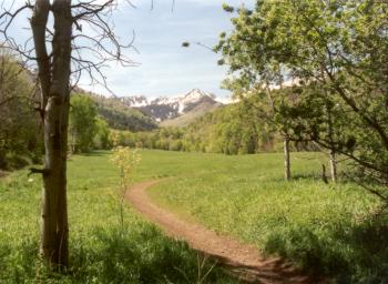 Windy Pass Trail