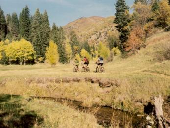 After a bit of doubletrack, the singletrack climbs along Bennie Creek towards th...